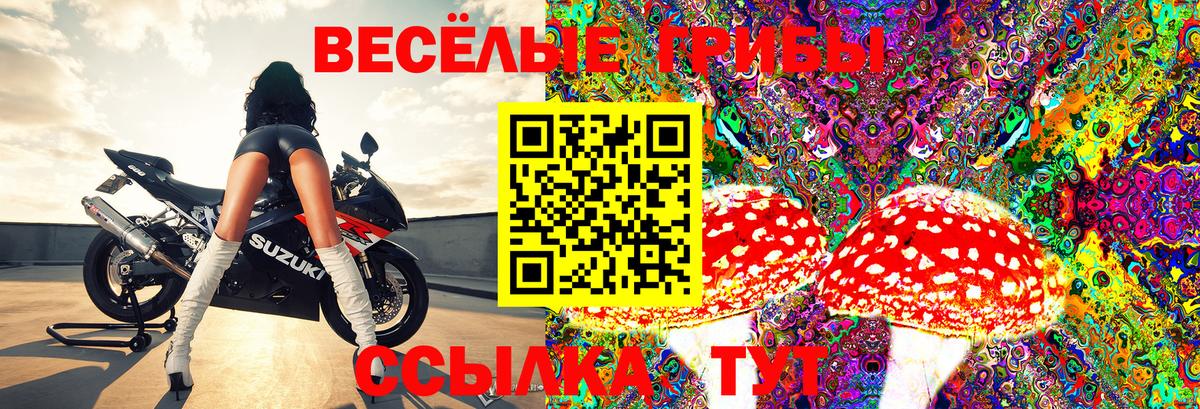 Галлюциногенные грибы мицелий Кимовск