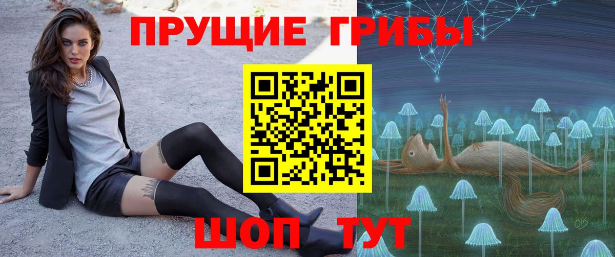 Псилоцибиновые грибы MAGIC MUSHROOMS  Вход с VPN  Кимовск  Галлюциногенные грибы GOLDEN TEACHER 