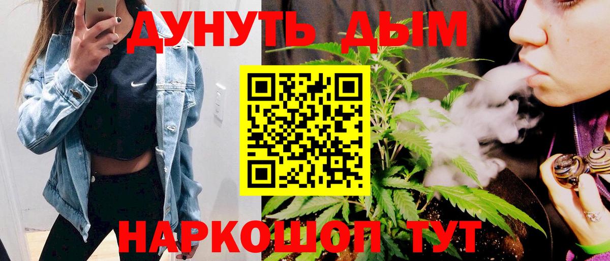 Марихуана сатива Кимовск